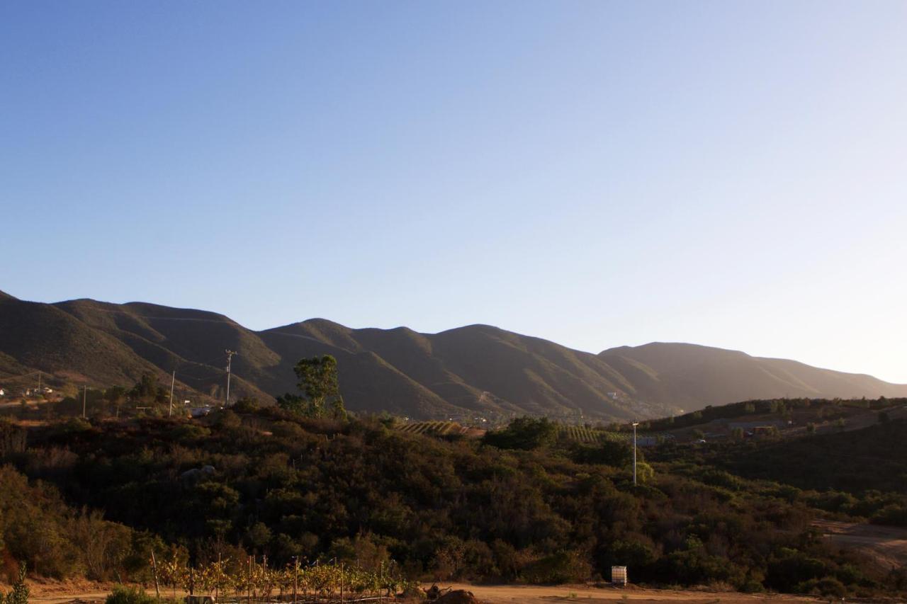 Quinta Lucia Hotell Valle de Guadalupe Exteriör bild